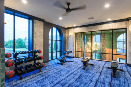 A modern gym room with large windows, free weights, benches, medicine balls, and blue carpet flooring, with a view of greenery outside.