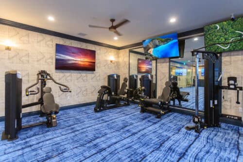 Modern gym with blue carpet, multiple weight machines, wall mirrors, ceiling fan, and large wall-mounted TVs displaying nature scenes.