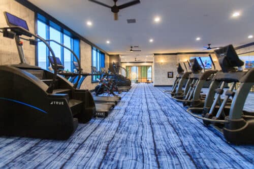 Modern gym interior with blue carpet, several treadmills, ellipticals, and large windows letting in natural light.