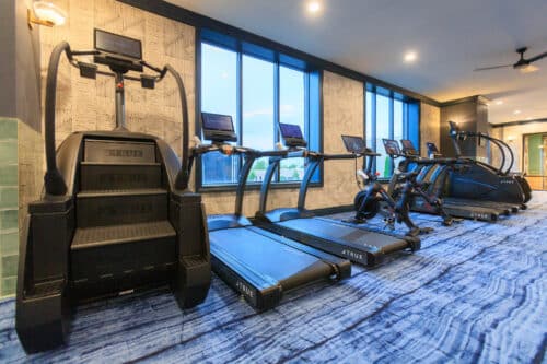 A modern gym with a stair climber, several treadmills, stationary bikes, and elliptical machines facing large windows on a blue carpeted floor.