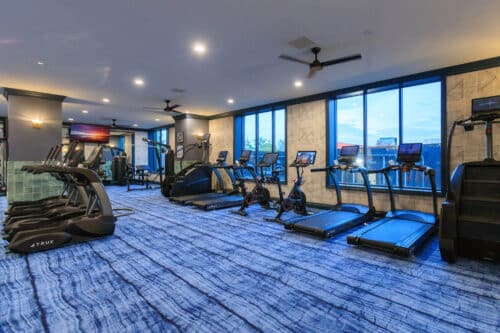 Modern gym with treadmills, ellipticals, stationary bikes, and large windows letting in natural light. Blue patterned carpet covers the floor.