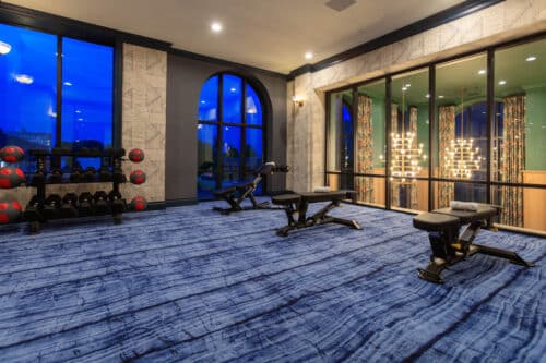 Modern gym room with blue carpet, free weights on racks, benches, large windows, and bright lighting fixtures reflected in glass.