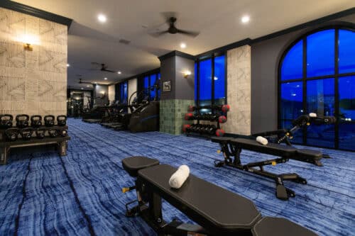 Modern gym with blue carpet, large windows, free weights, kettlebells, benches with towels, and various cardio machines visible in a well-lit room.